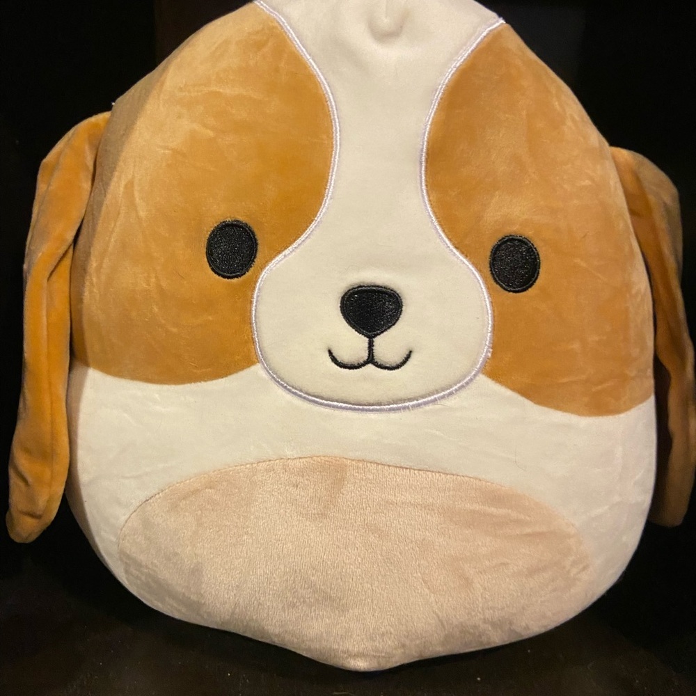 Dog squishmallow 🐶🤎